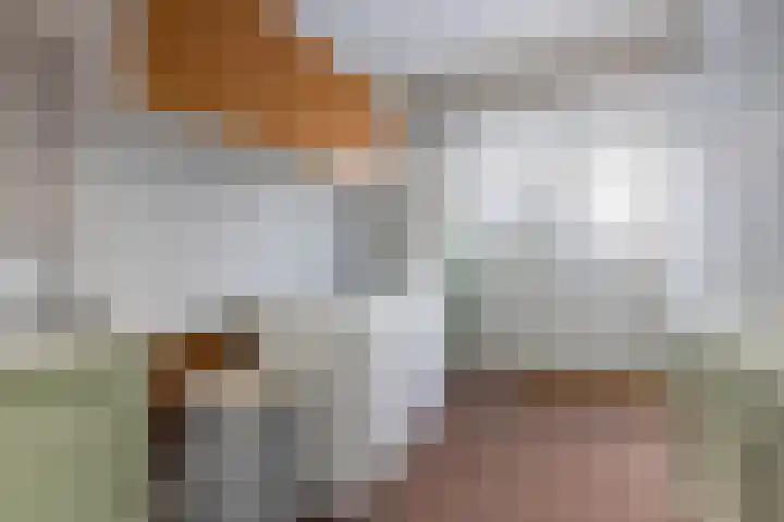 H.S.Schralestraat 18 Steenwijk thumbnail 15
