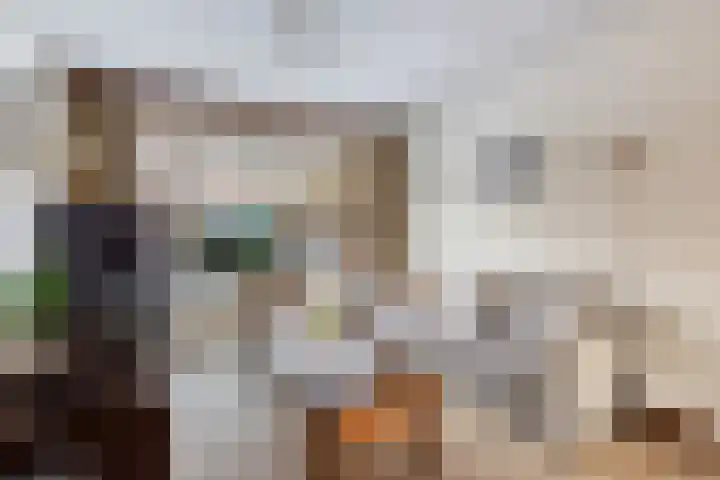 H.S.Schralestraat 18 Steenwijk thumbnail 8