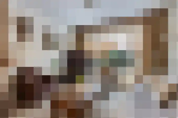 H.S.Schralestraat 18 Steenwijk thumbnail 9
