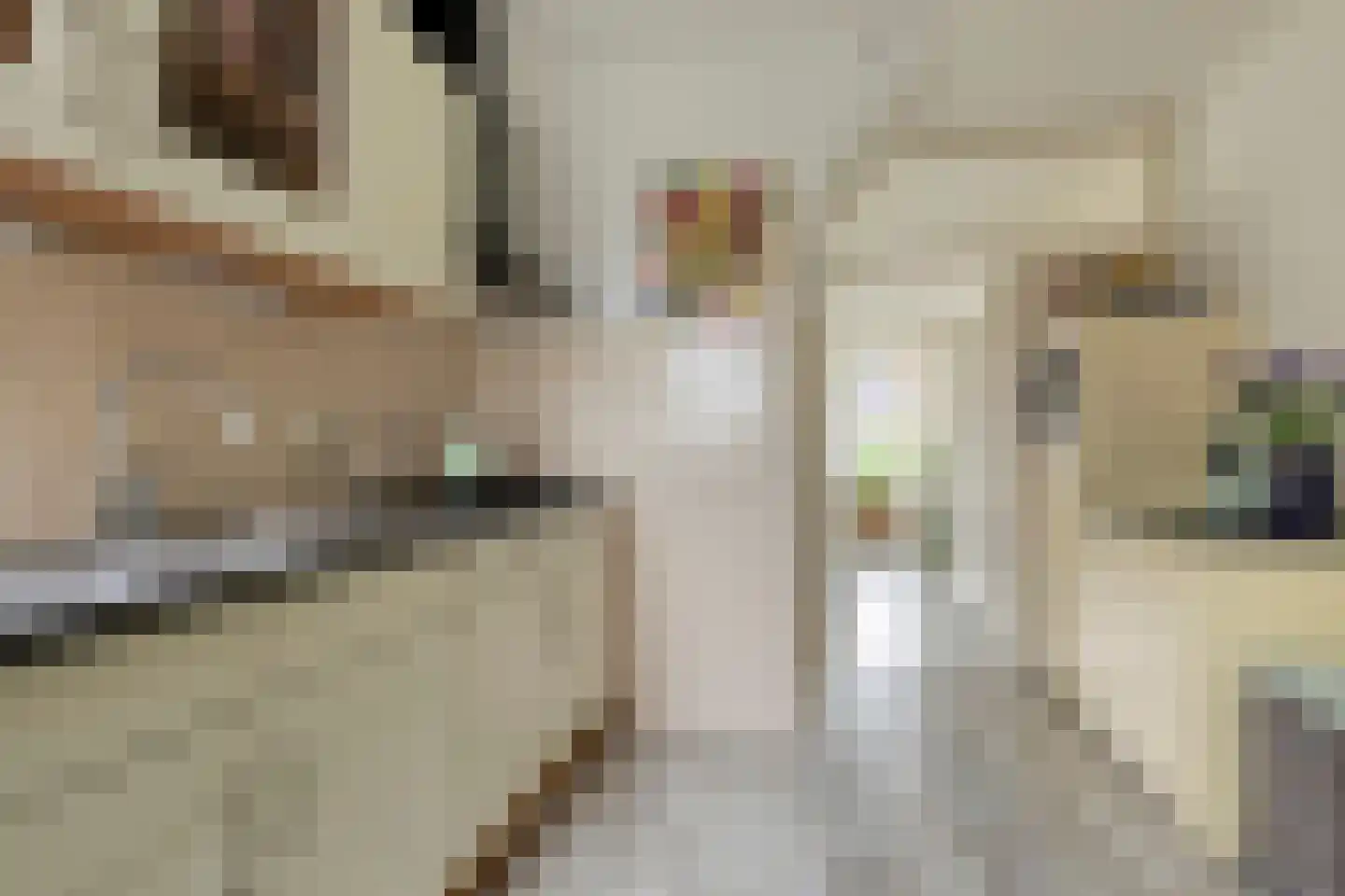 H S Sytstrastrjitte 14 Achlum thumbnail 15