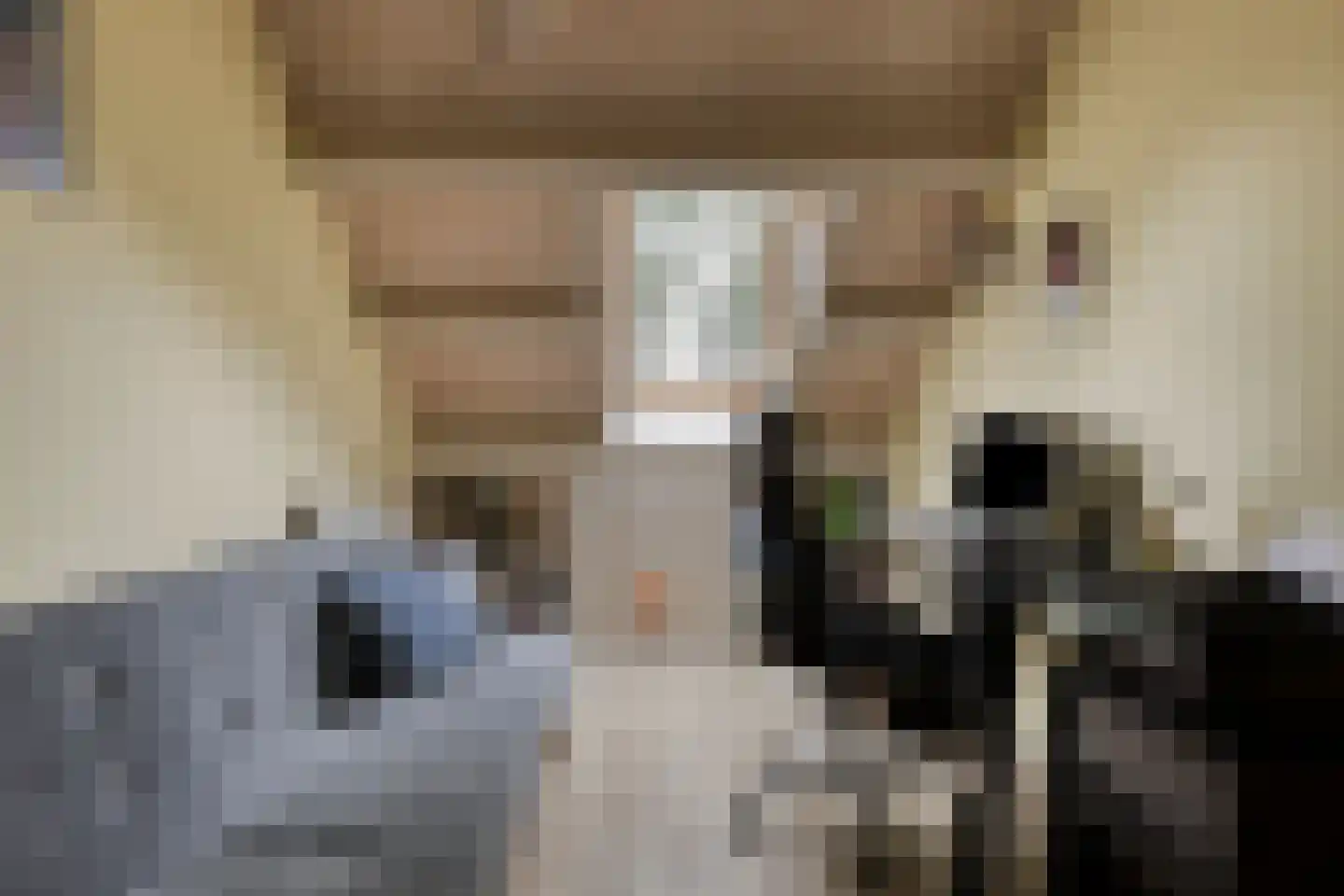 H S Sytstrastrjitte 14 Achlum thumbnail 23
