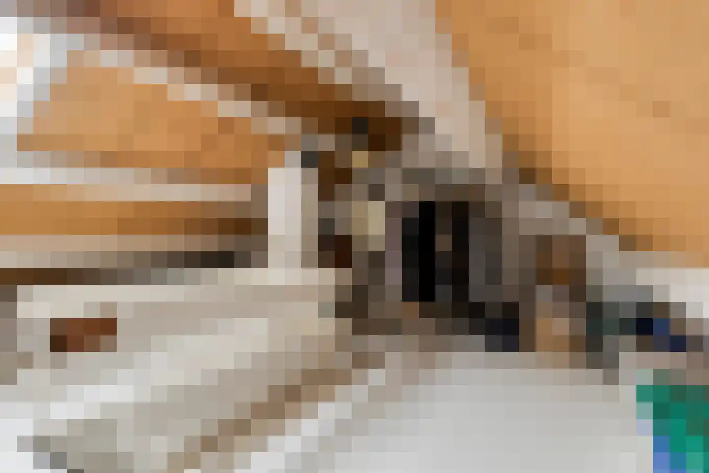 H S Sytstrastrjitte 14 Achlum thumbnail 24
