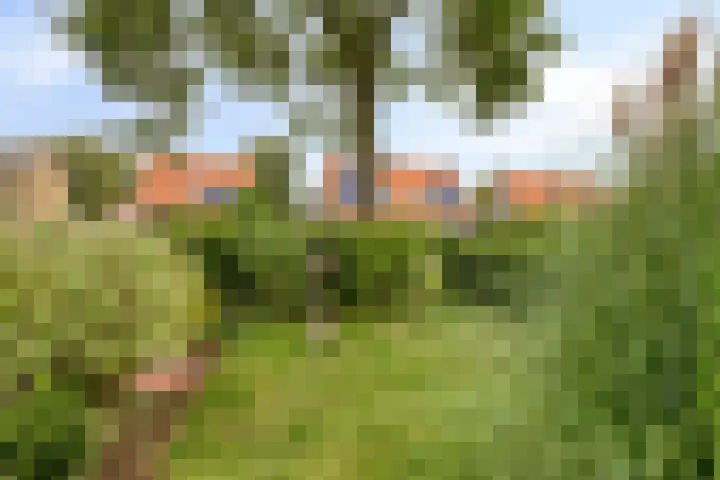 H S Sytstrastrjitte 14 Achlum thumbnail 26