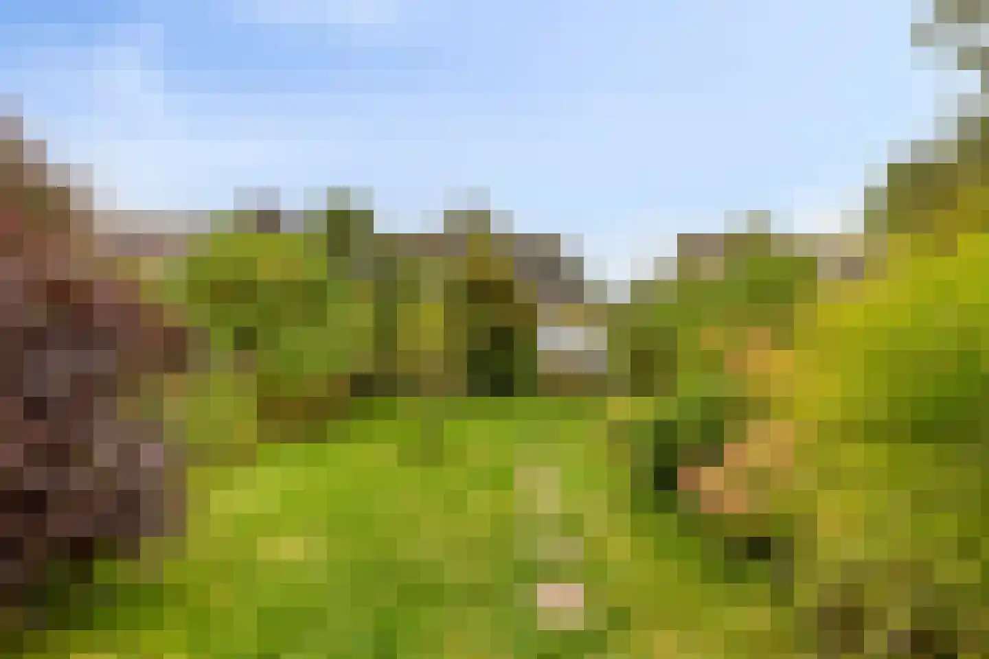 H S Sytstrastrjitte 14 Achlum thumbnail 5