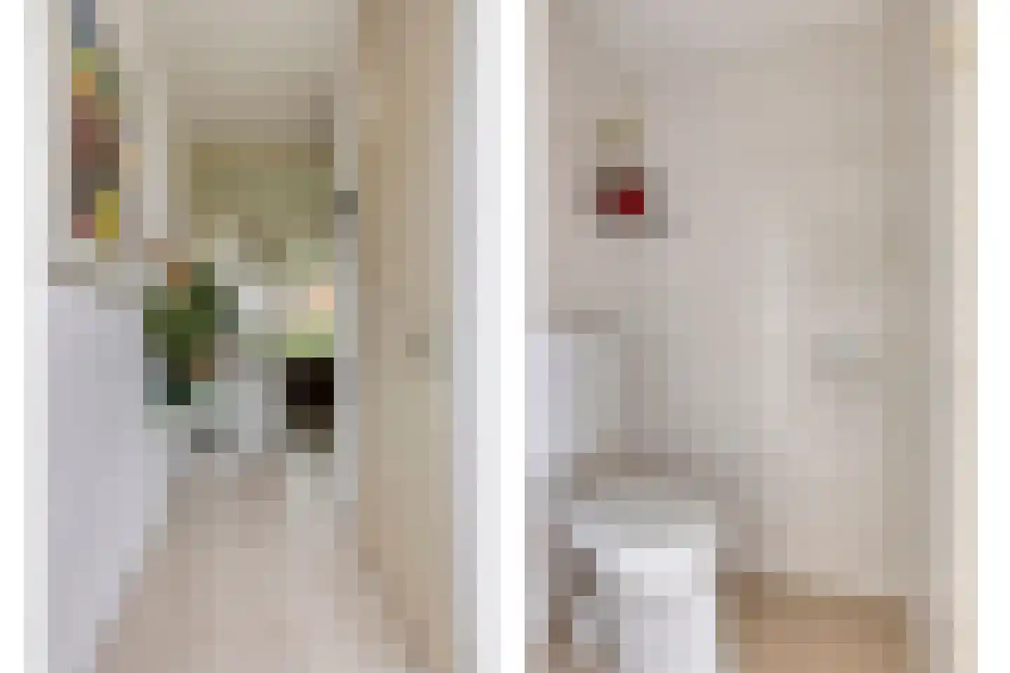 H S Sytstrastrjitte 14 Achlum thumbnail 7