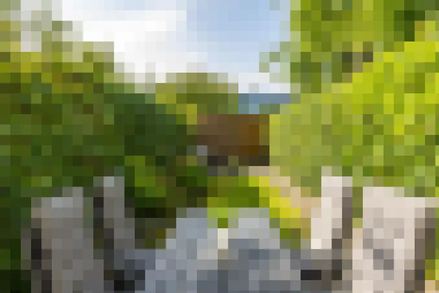 H.S. Trumanstraat 16 Groningen thumbnail 30