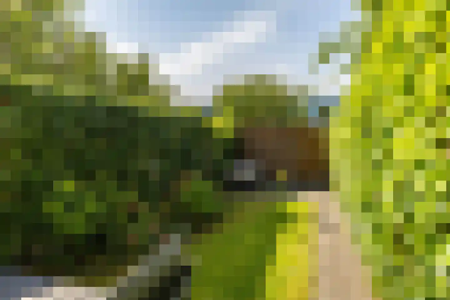H.S. Trumanstraat 16 Groningen thumbnail 31
