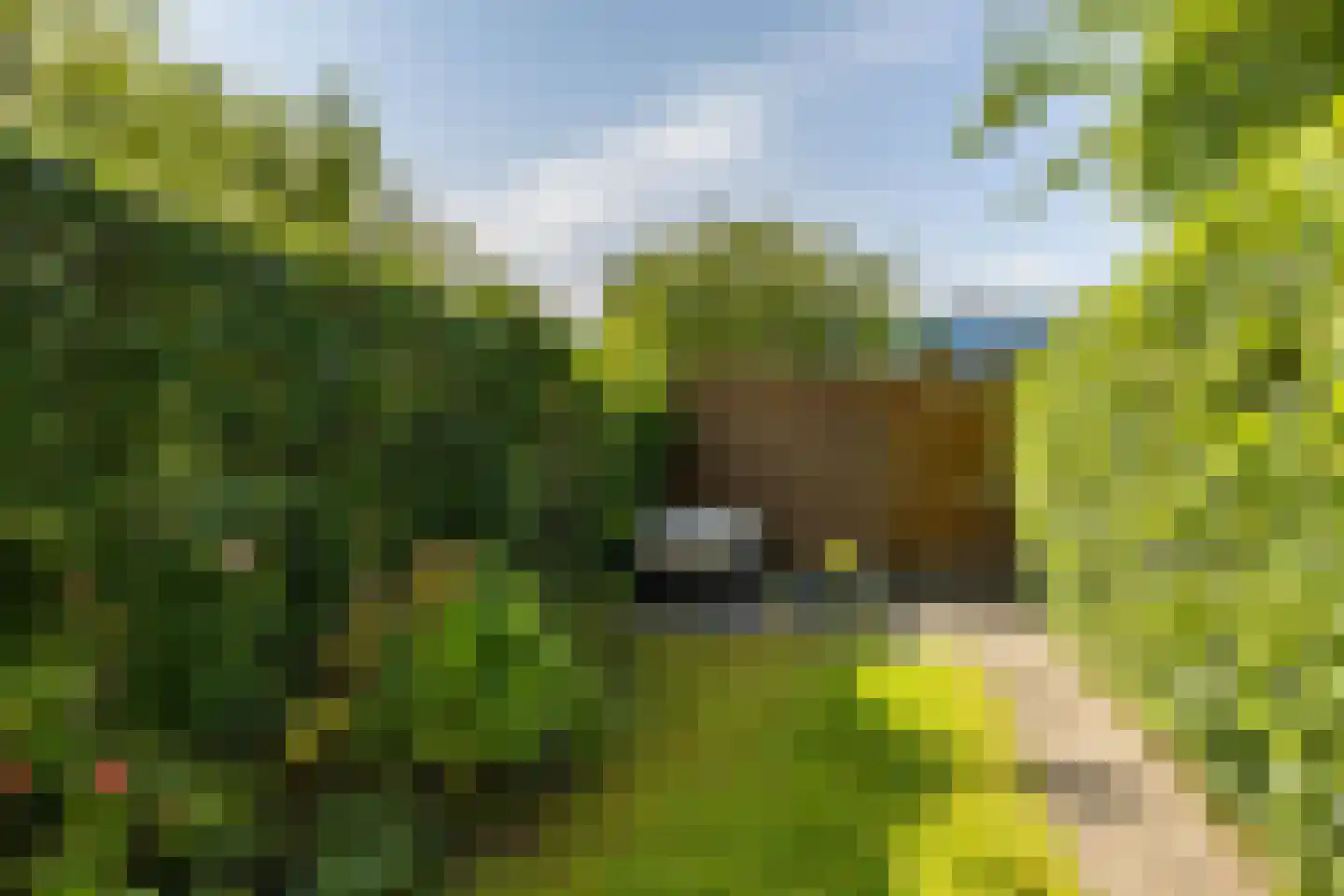 H.S. Trumanstraat 16 Groningen thumbnail 32