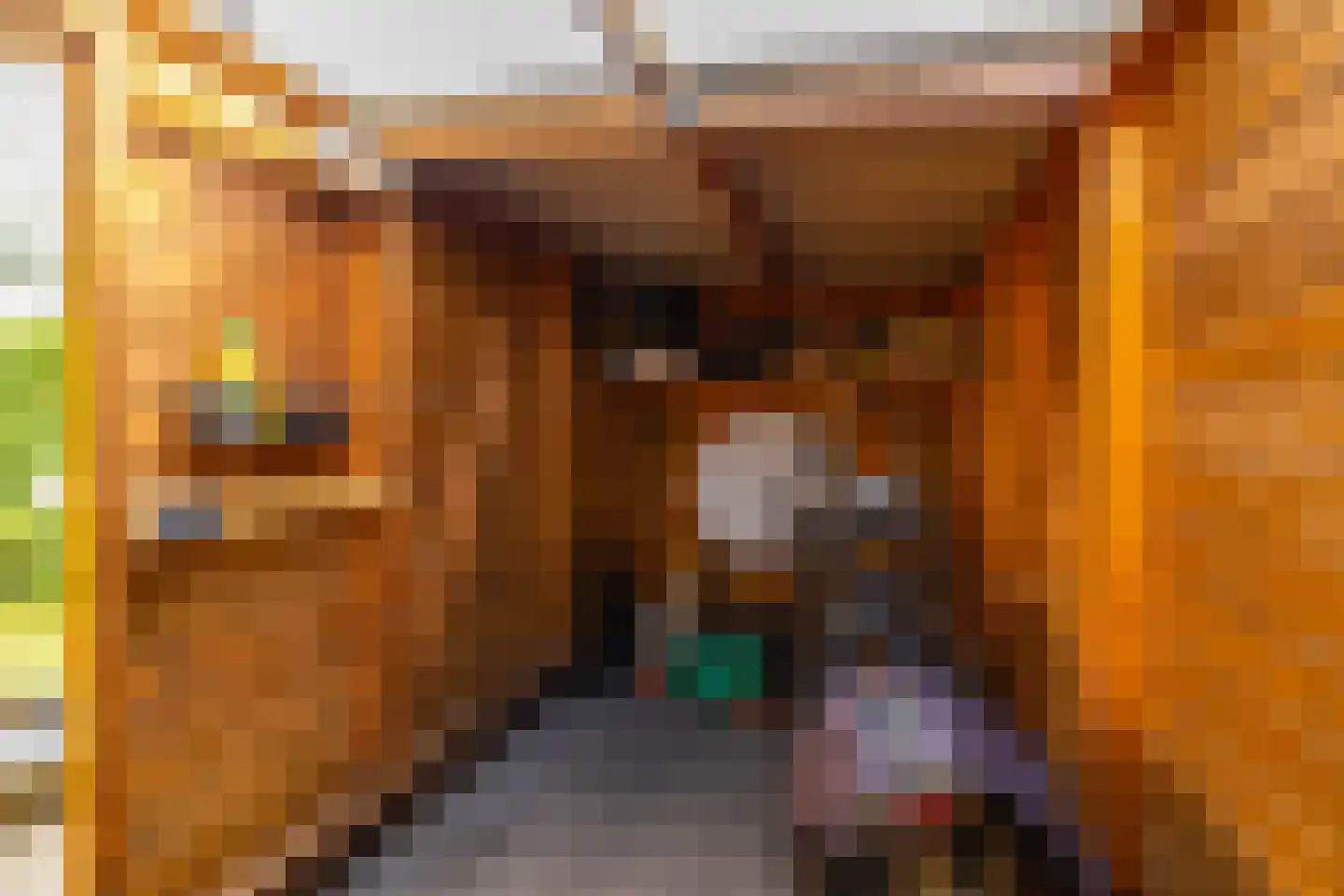 H.S. Trumanstraat 16 Groningen thumbnail 34