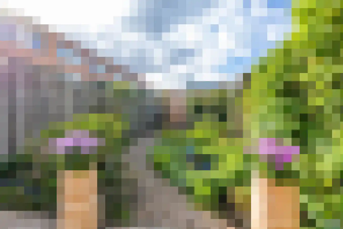H.S. Trumanstraat 2 Groningen thumbnail 13