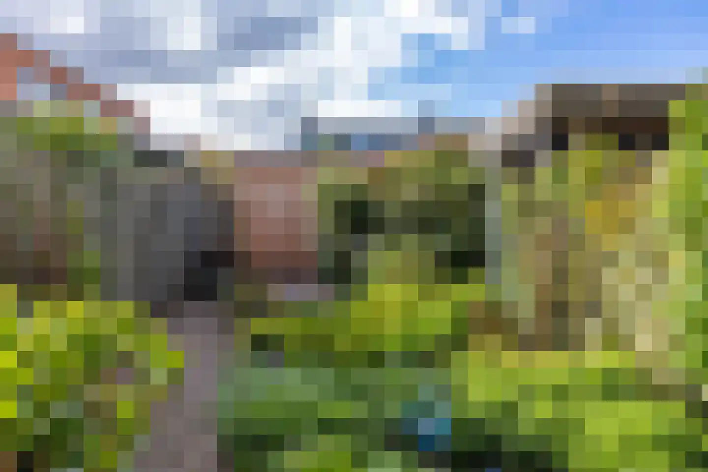 H.S. Trumanstraat 2 Groningen thumbnail 14