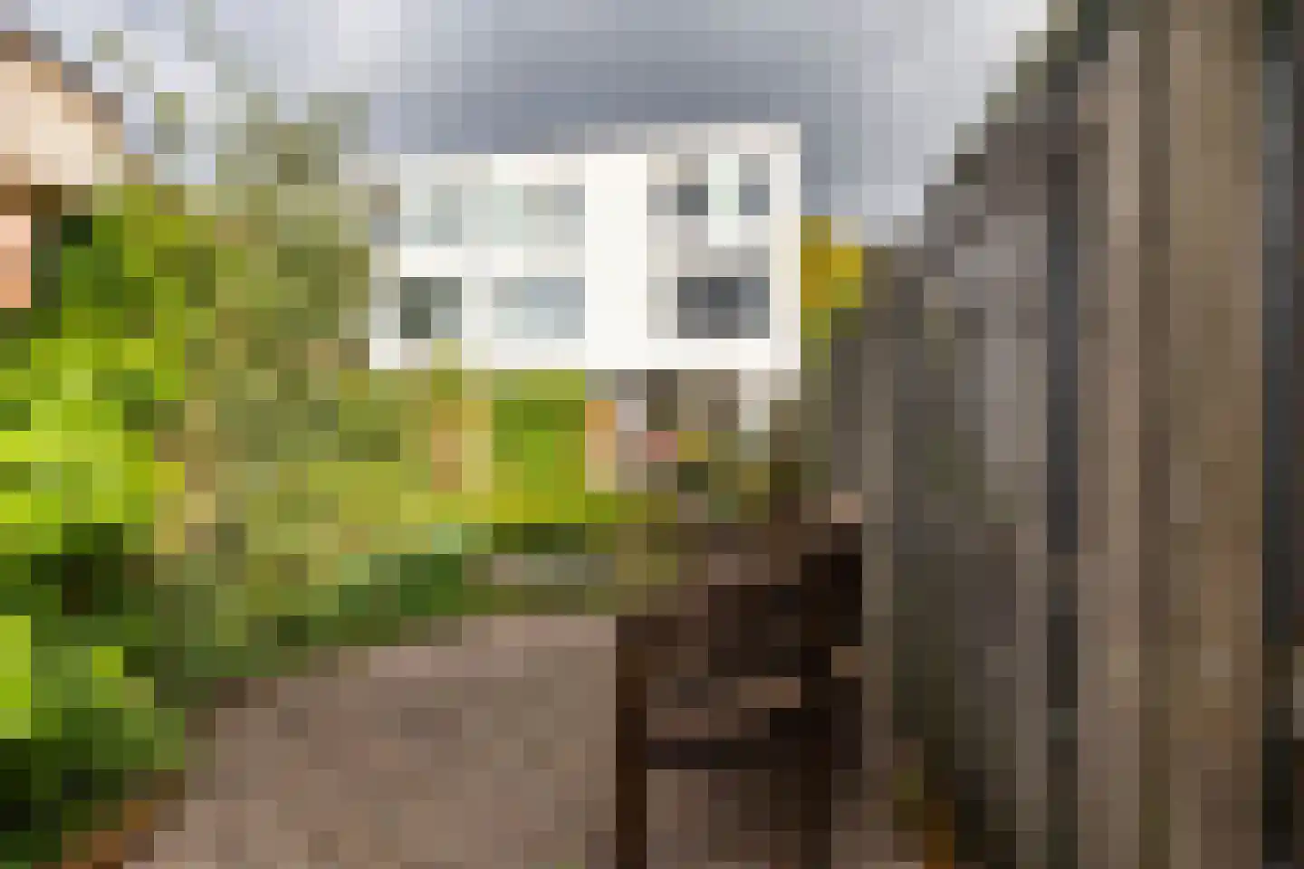 H.S. Trumanstraat 2 Groningen thumbnail 15