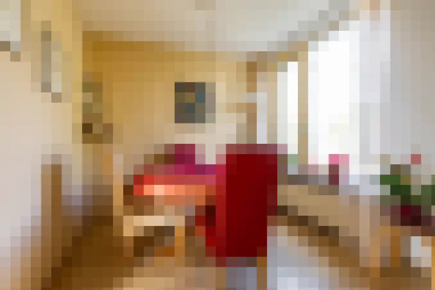 H.S. Trumanstraat 2 Groningen thumbnail 25