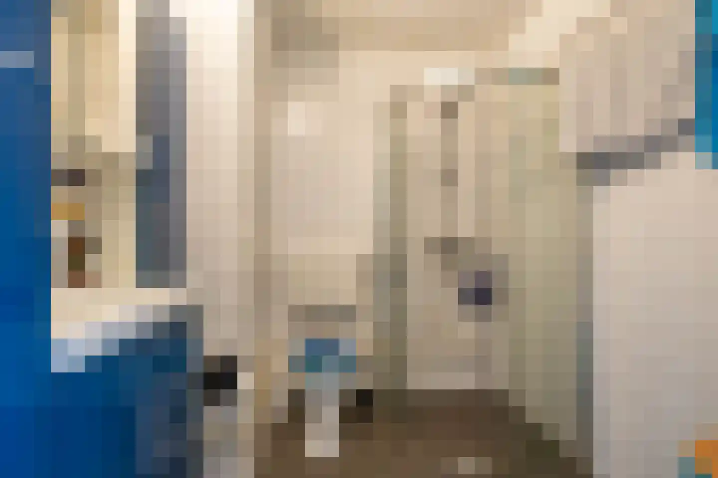 H.S. Trumanstraat 2 Groningen thumbnail 34