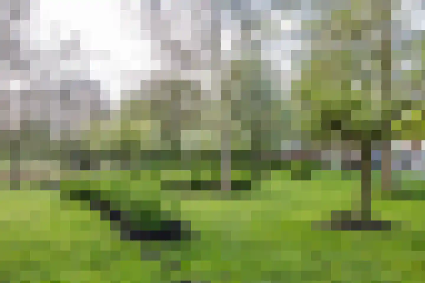H.S. Trumanstraat 2 Groningen thumbnail 4