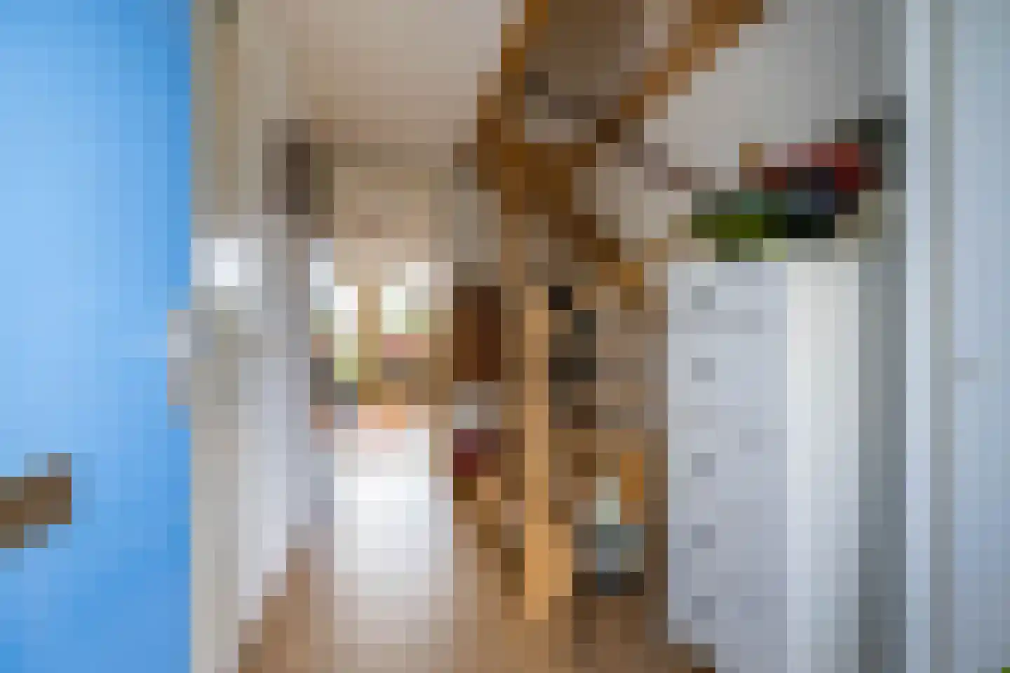 H.S. Trumanstraat 2 Groningen thumbnail 7