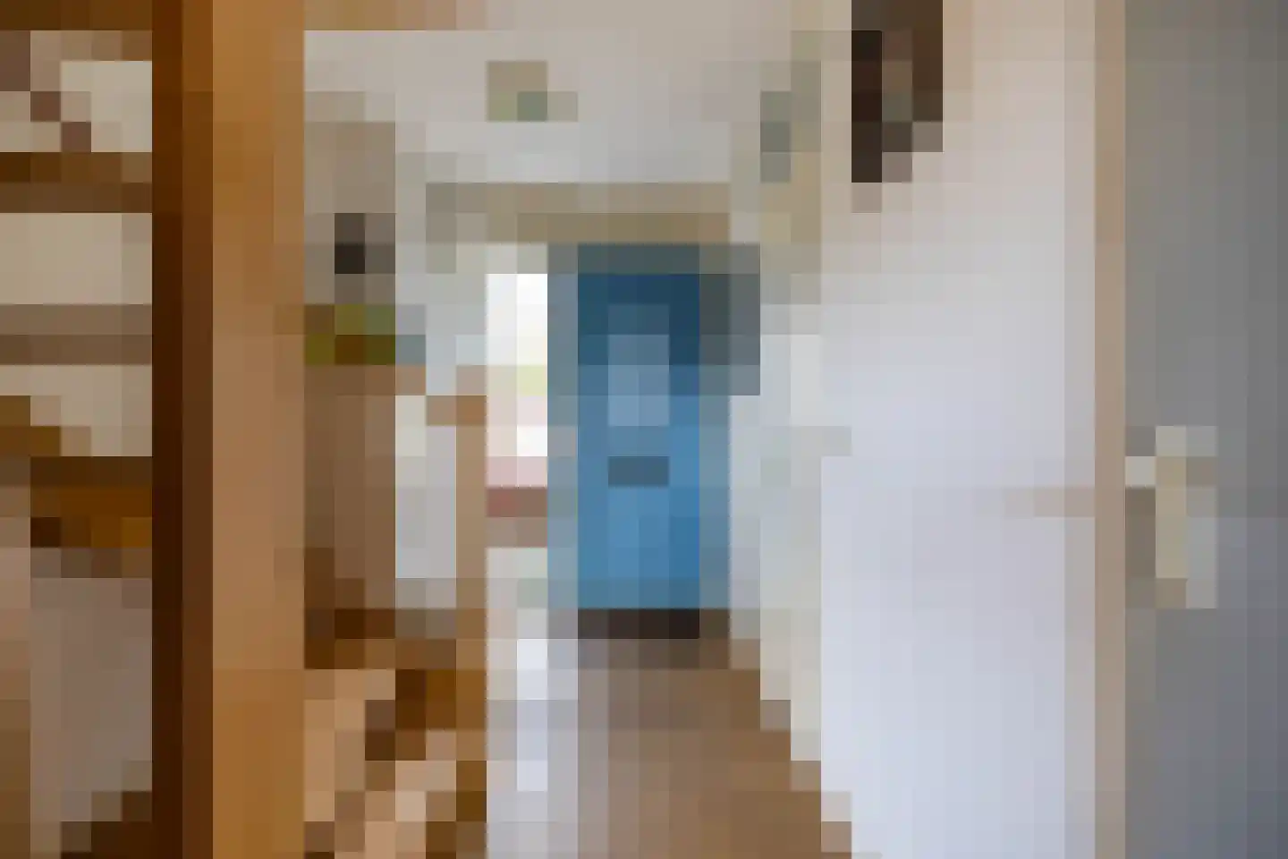 H.S. Trumanstraat 2 Groningen thumbnail 8