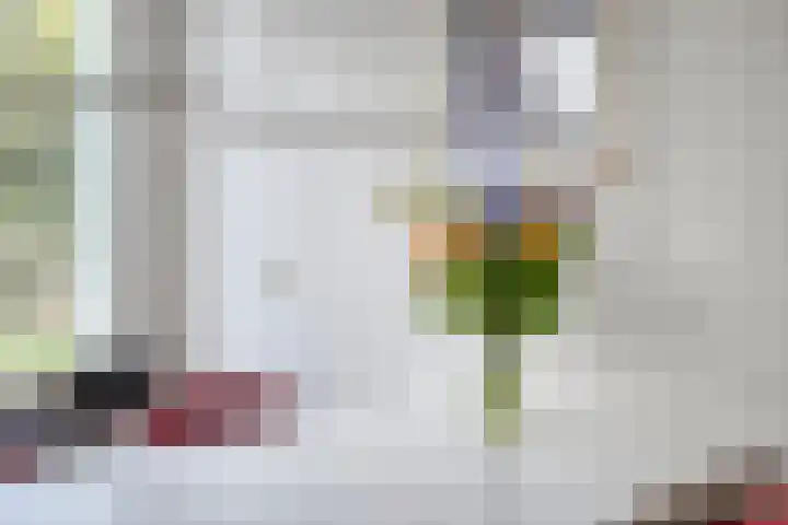 H.S. Trumanstraat 8 Groningen thumbnail 21