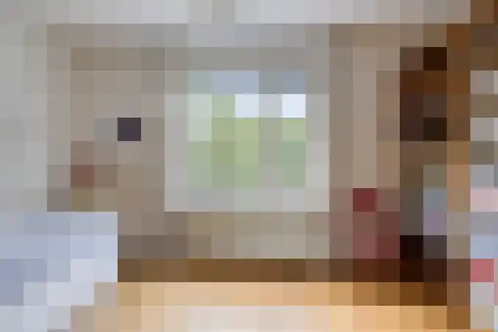 H.S. Trumanstraat 8 Groningen thumbnail 25