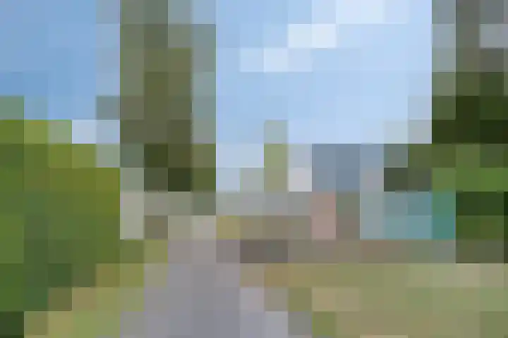 H.S. Trumanstraat 8 Groningen thumbnail 33