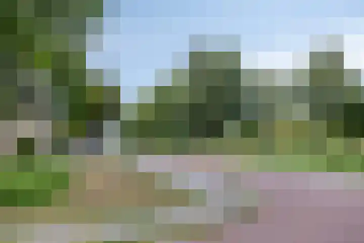 H.S. Trumanstraat 8 Groningen thumbnail 34