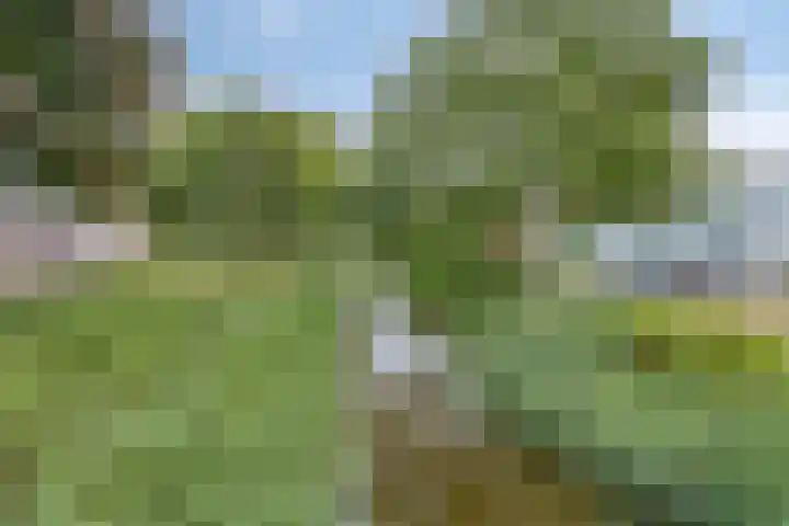 H.S. Trumanstraat 8 Groningen thumbnail 4