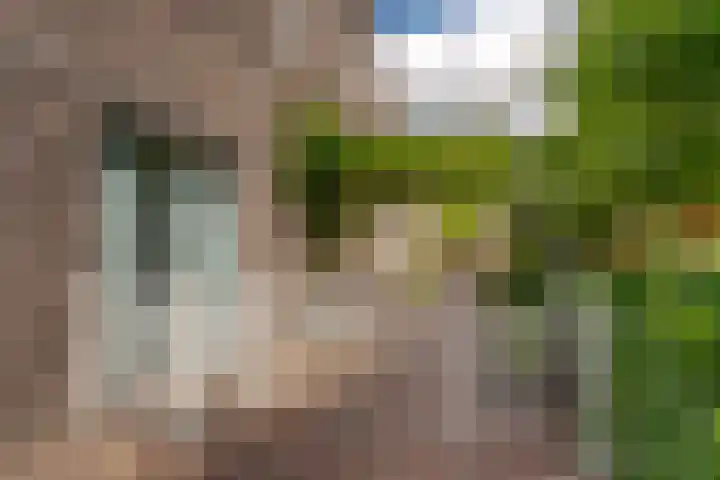 H. Scheepstrastraat 1 Roden thumbnail 5