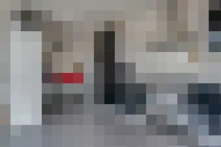 H. Scheepstrastraat 12 Roden thumbnail 20