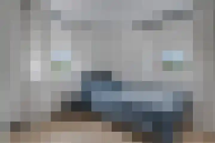 H. Scheepstrastraat 12 Roden thumbnail 37