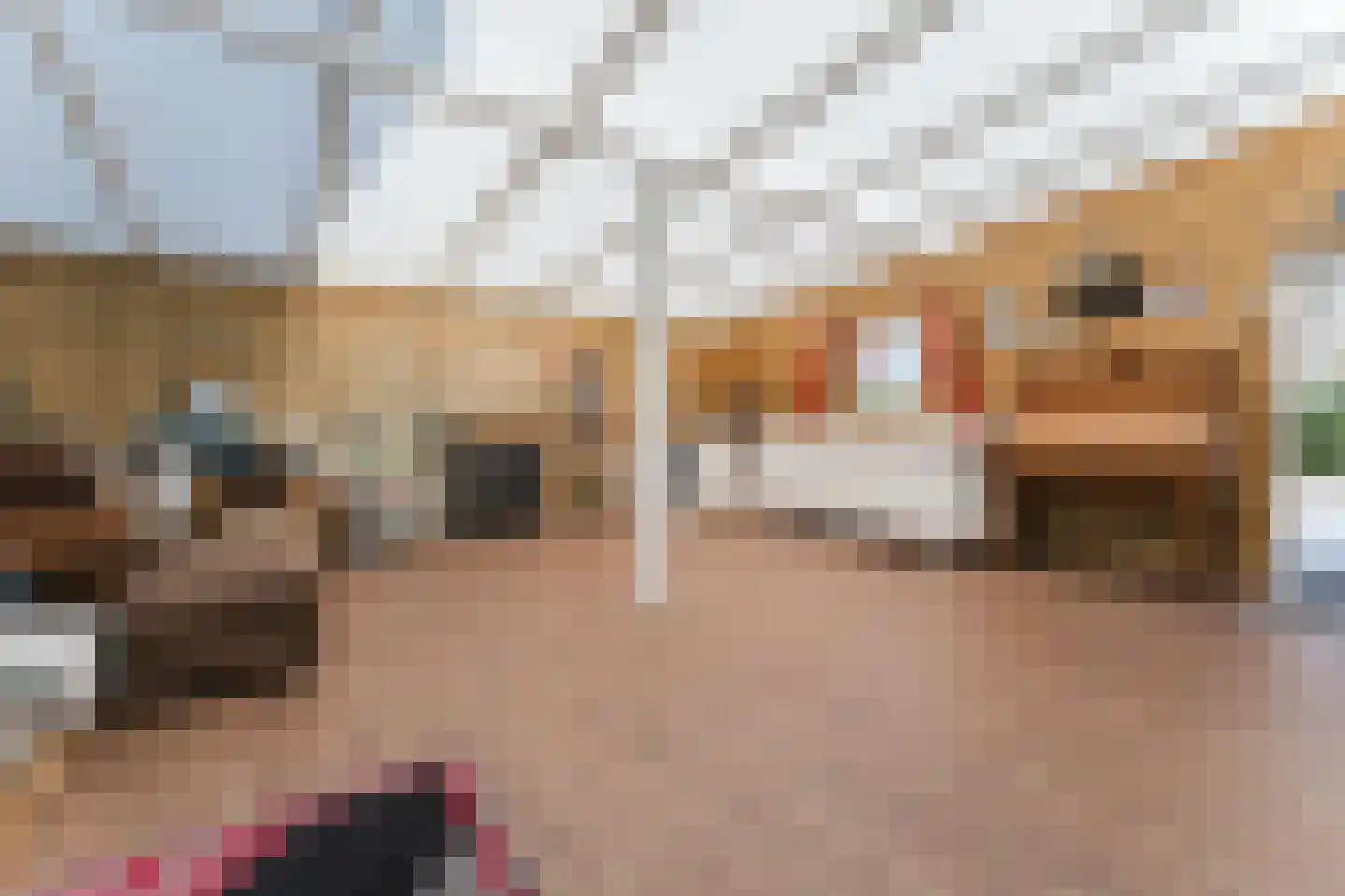 H. Segherslaan 30 Heerhugowaard thumbnail 32
