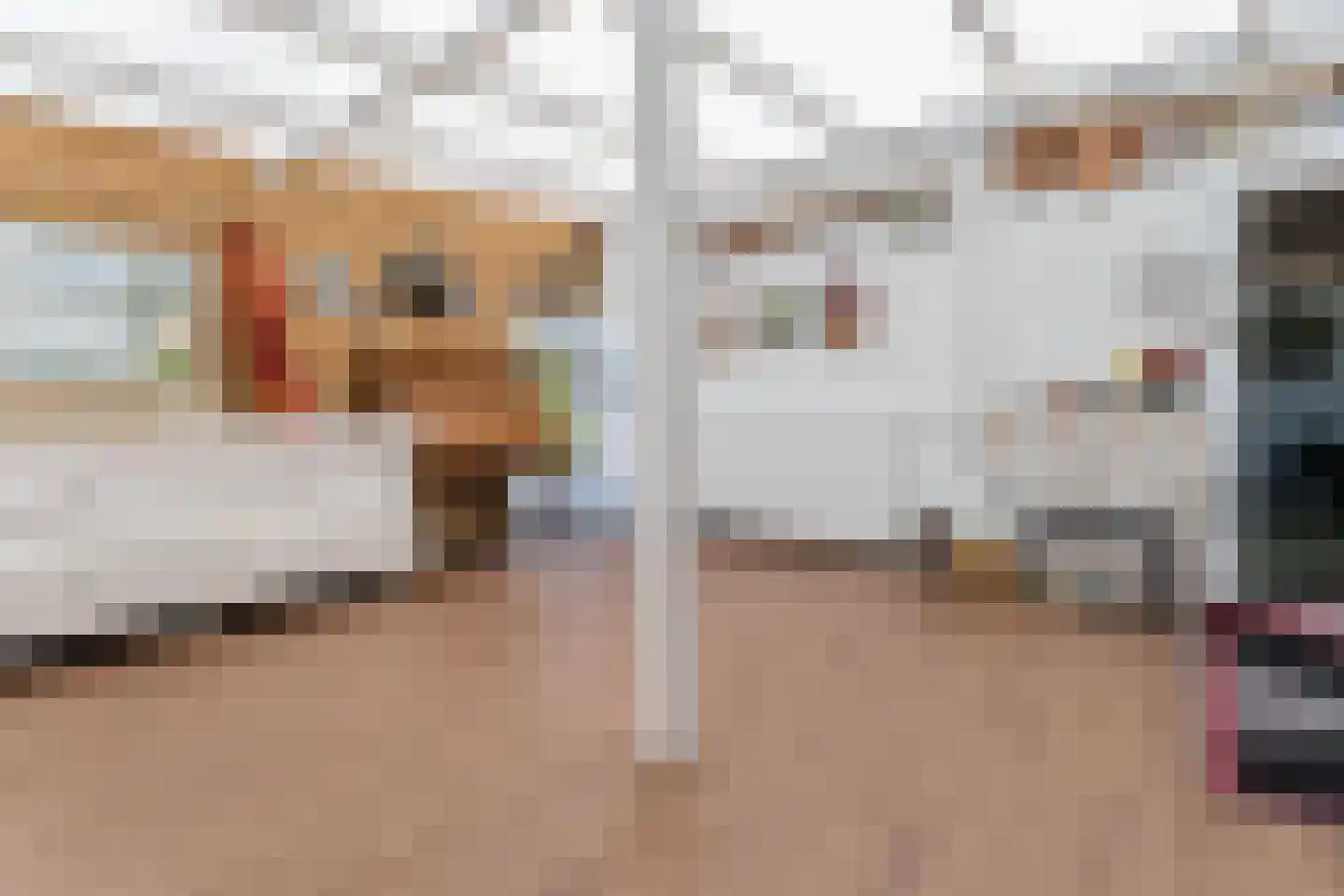 H. Segherslaan 30 Heerhugowaard thumbnail 34