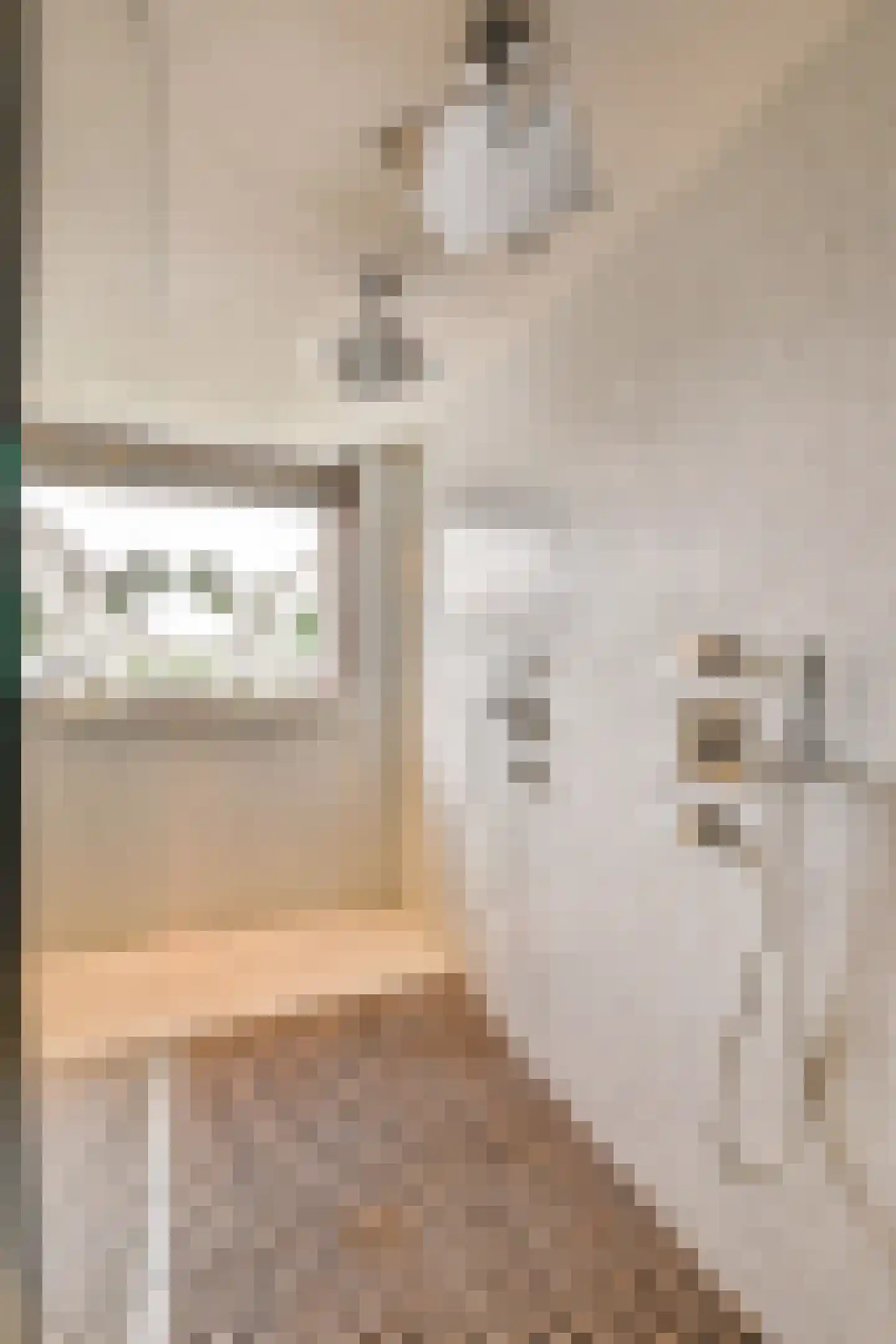 H. Soeteboomstraat 21 Zaandam thumbnail 36
