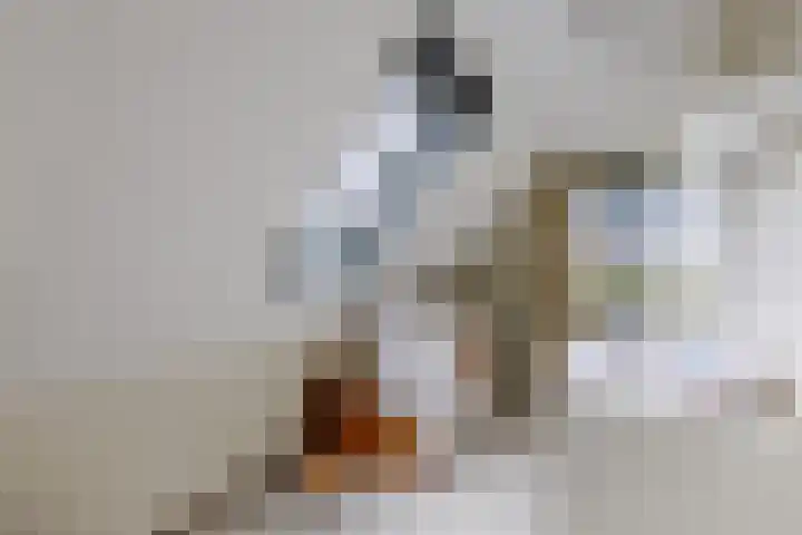 H. Soeteboomstraat 25 Zaandam thumbnail 31