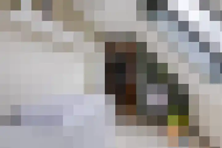 H. Soeteboomstraat 25 Zaandam thumbnail 32