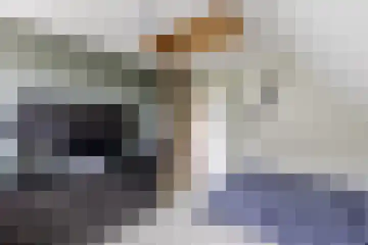 H. Soeteboomstraat 25 Zaandam thumbnail 34