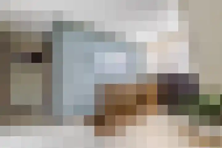H. Soeteboomstraat 25 Zaandam thumbnail 35