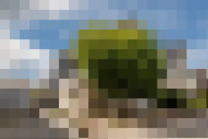 H. Soeteboomstraat 25 Zaandam thumbnail 6