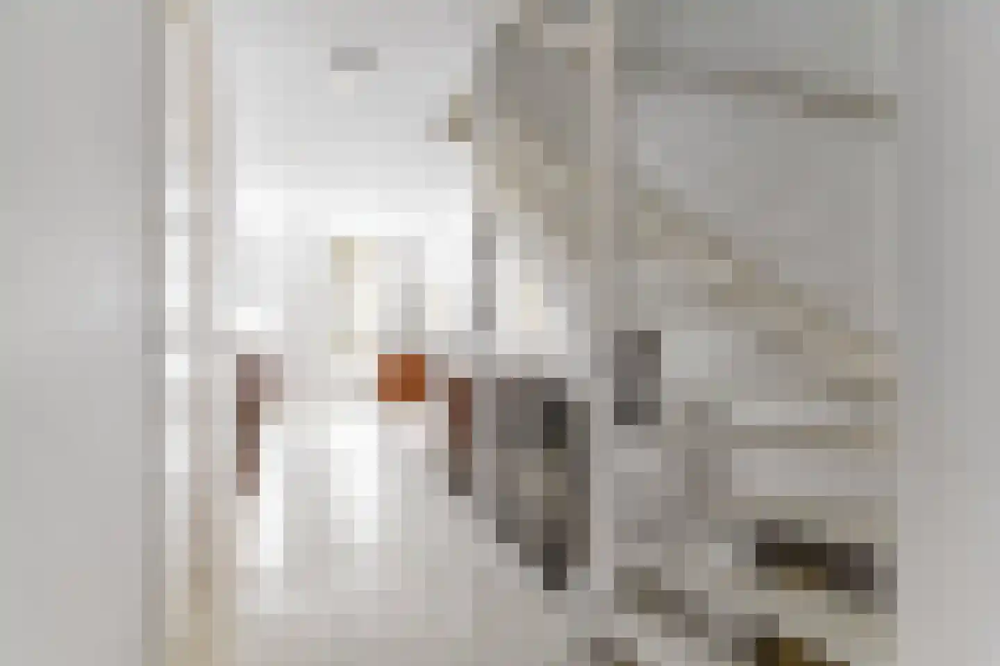 H. Stolleplantsoen 19 Amsterdam thumbnail 20