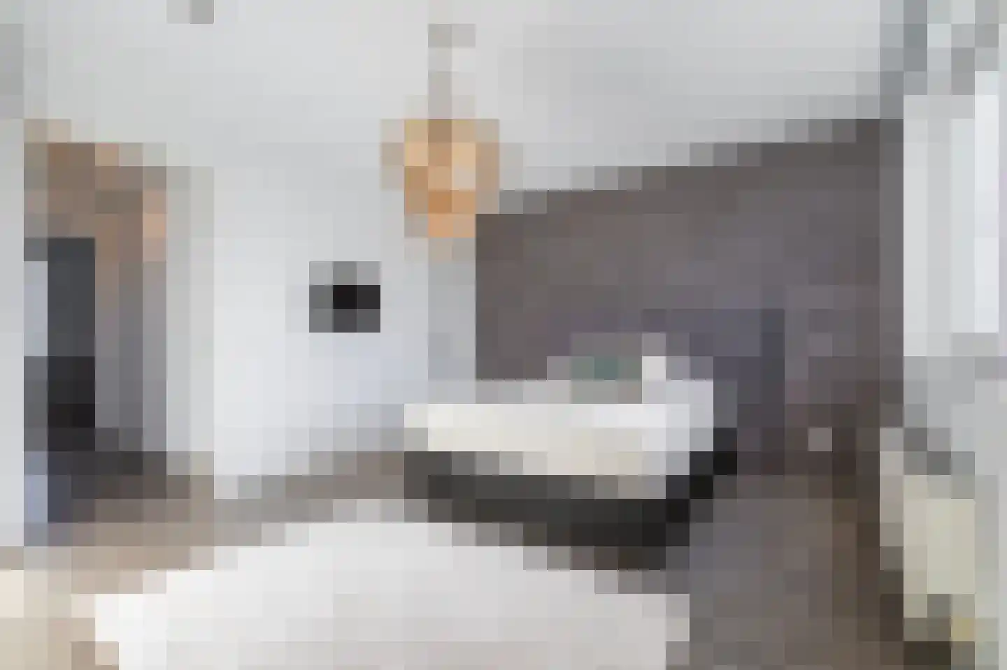 H. Stolleplantsoen 19 Amsterdam thumbnail 31