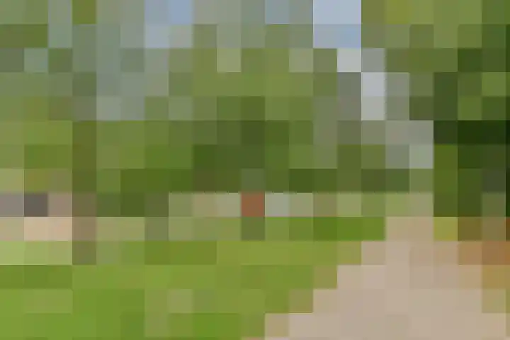 H. Stolleplantsoen 34 B Amsterdam thumbnail 12