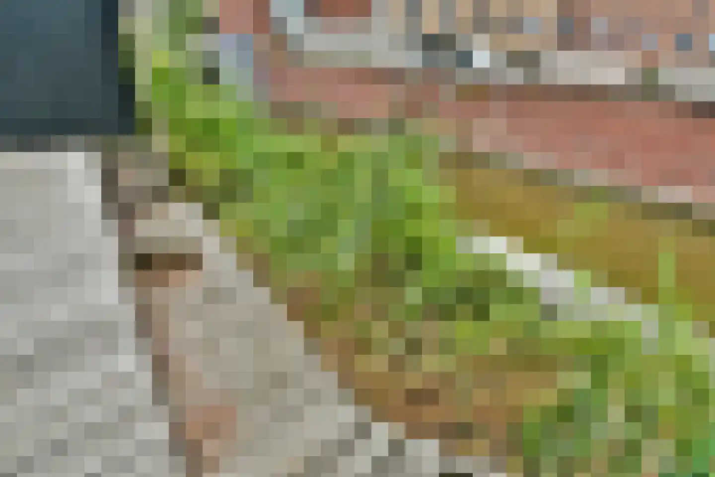 H. Stolleplantsoen 34 B Amsterdam thumbnail 22
