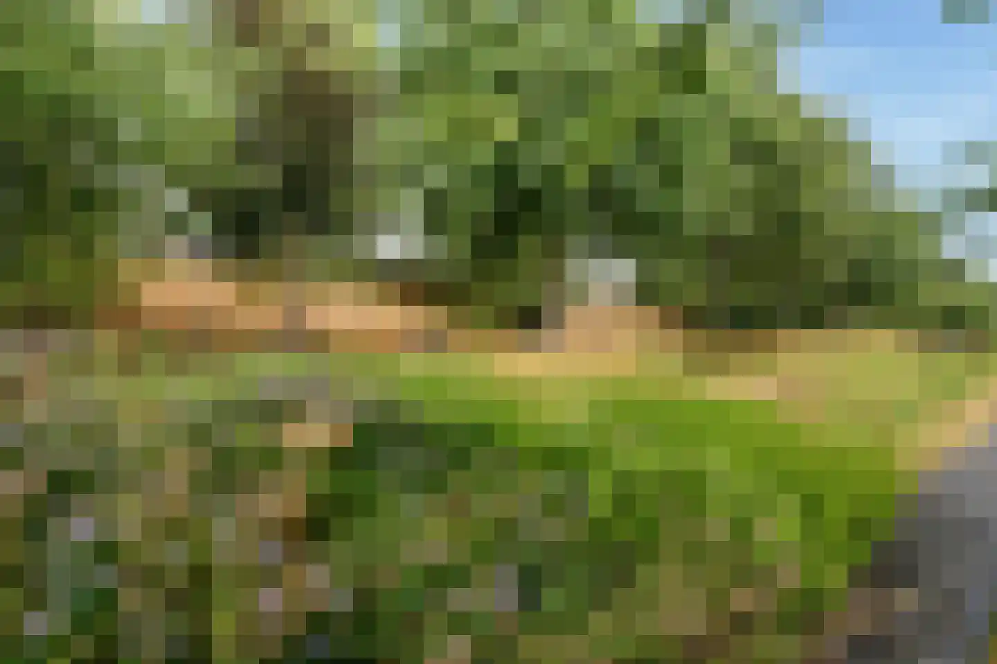 H. Stolleplantsoen 34 B Amsterdam thumbnail 26