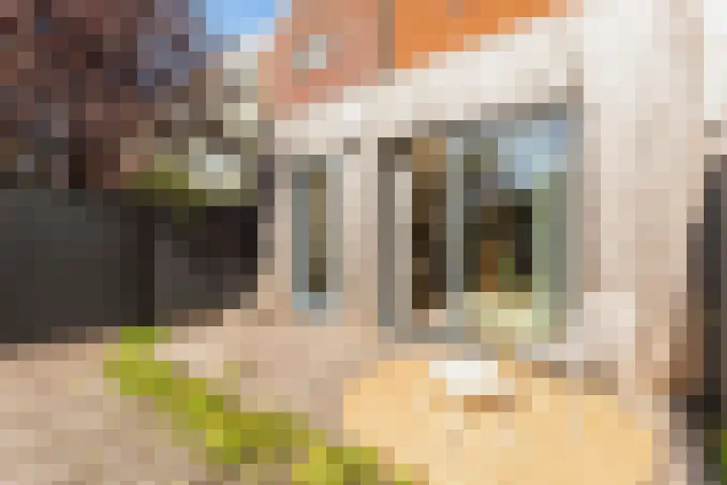 H. Stolleplantsoen 34 B Amsterdam thumbnail 4