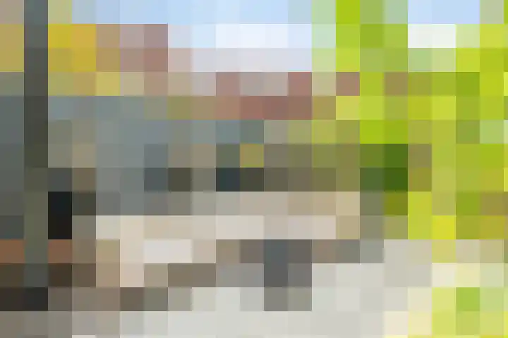 H.T. Zwiersplantsoen 33 Amsterdam thumbnail 13
