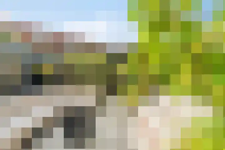H.T. Zwiersplantsoen 33 Amsterdam thumbnail 14