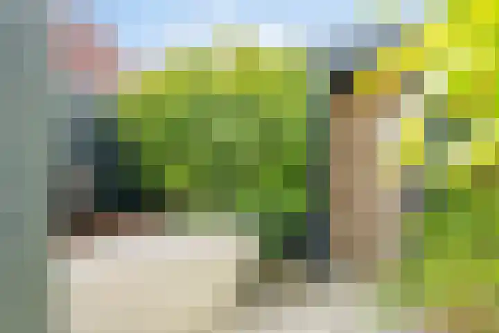 H.T. Zwiersplantsoen 33 Amsterdam thumbnail 15