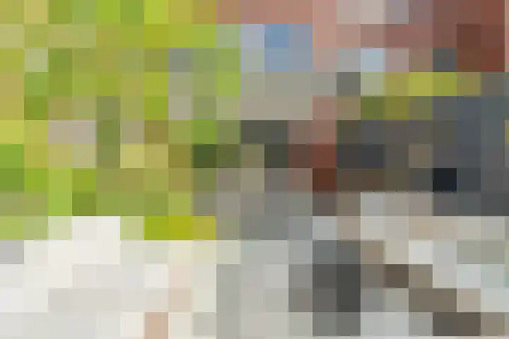 H.T. Zwiersplantsoen 33 Amsterdam thumbnail 16