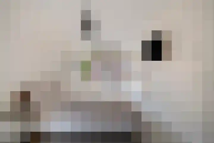 H.T. Zwiersplantsoen 33 Amsterdam thumbnail 28