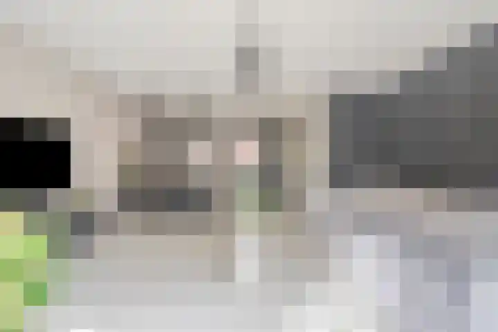 H.T. Zwiersplantsoen 33 Amsterdam thumbnail 6