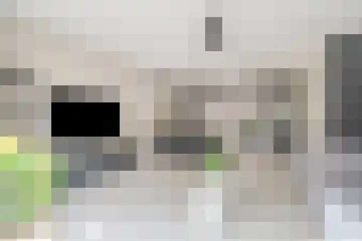 H.T. Zwiersplantsoen 33 Amsterdam thumbnail 7